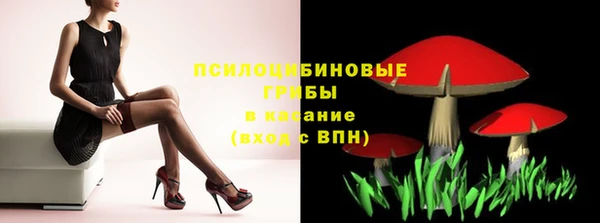 a pvp Михайловск