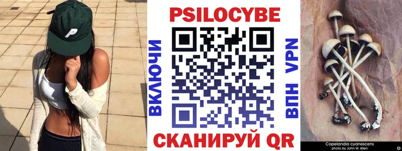 Купить закладки  Алушта  Галлюциногенные грибы Psilocybine cubensis 
